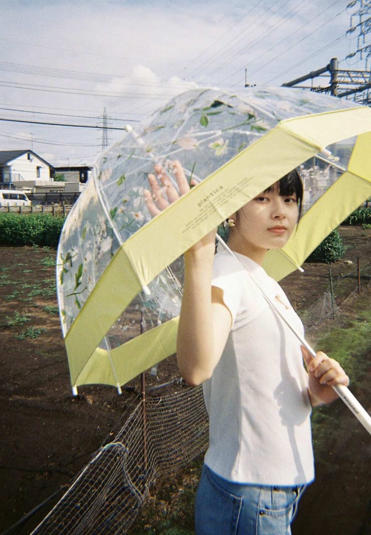 Wpc. x plantica 2022 – Yellow | plantica | Florist Takashi Kimura