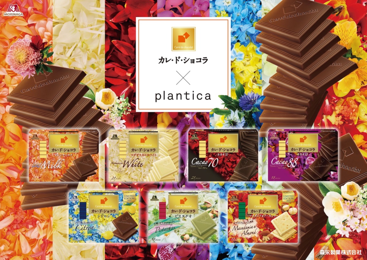 Carré de chocolat × plantica | plantica（プランティカ） - フラワー